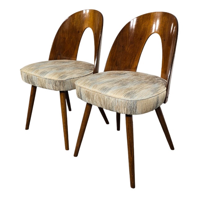 Dining Chairs by Antonin Suman, 1960s, Set of 2 For Sale