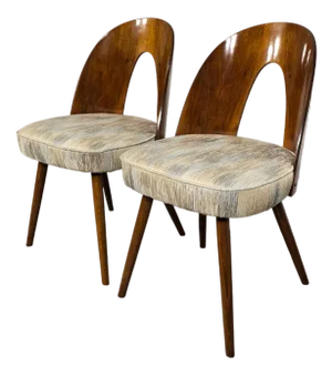 Dining Chairs by Antonin Suman, 1960s, Set of 2