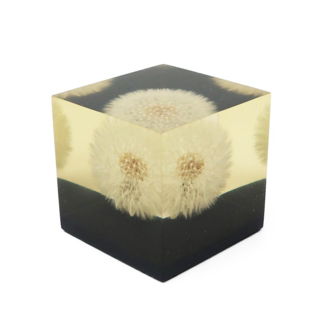 Pierre Giraudon Set of Vintage Lucite Encased Paperweights For Sale - Image 4 of 9