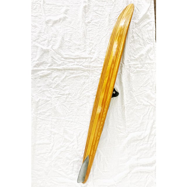 Vintage Waterski El Diablo Grooved Slalom Cypress Gardens Chairish