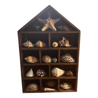 Whimsical House-Shaped Wooden Curio Cabinet With Curated Seashell & Starfish Collection For Sale