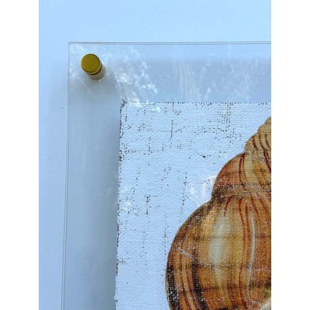 Contemporary Golden Conch Shell - Hand-Executed Textured Wall Art | Michele Stone Collection For Sale - Image 3 of 8