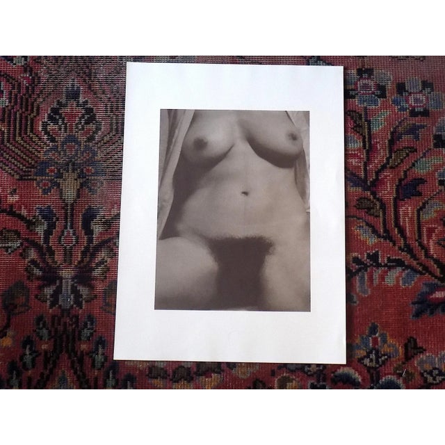 Large Vintage Photogravure-"Georgia O'Keeffe" by Alfred Stieglitz (Usa 1864-1946) For Sale In Cincinnati - Image 6 of 7