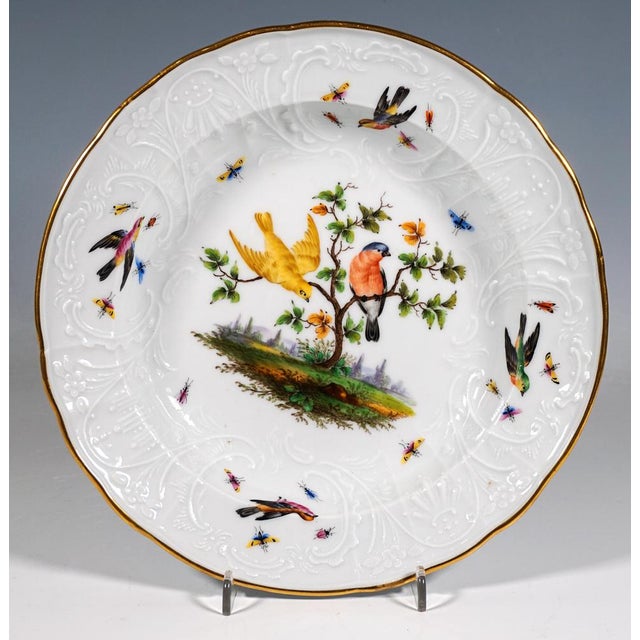 Blue Splendour Plates from Meissen, 1850, Set of 6 For Sale - Image 8 of 11