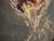 Andrianna Shamaris High Quality Petrified Wood Sculpture or Coffee Table For Sale - Image 13 of 18