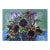 Mid 20th Century Modernist Sunflowers Serigraph Print by Guy MacCoy For Sale