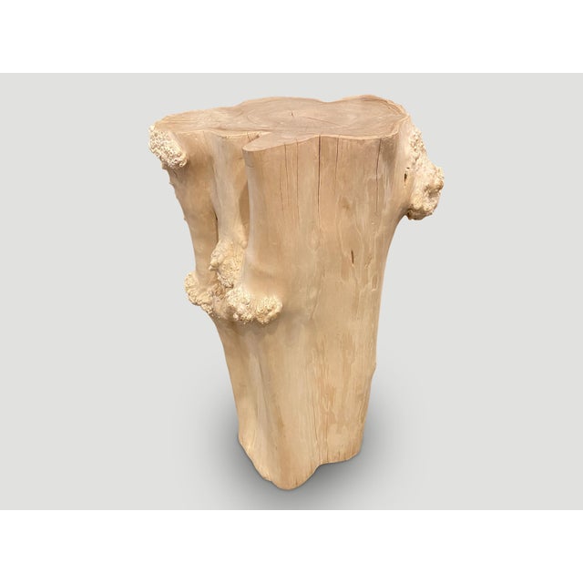 Andrianna Shamaris Rare Bleached Teak Root Pedestal For Sale - Image 18 of 18