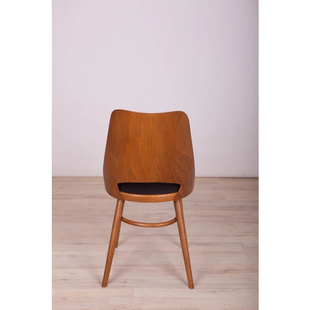 Model Lollipop Dining Chairs from Tatra, 1960s, Set of 4 For Sale - Image 11 of 18