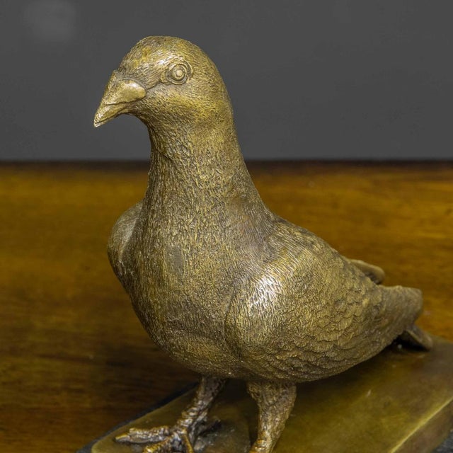 Bronze Racing Pigeon, 20th-Century For Sale - Image 3 of 14
