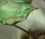 Winifred Cole Madonnna Lily Pottery Flowers & Brass Brutalist Sculpture For Sale - Image 13 of 15