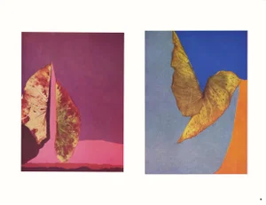 Josef Albers 1963 "Interaction of Color" Folder Xxv-5 Left Side "Autumn Leaves" Print