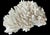 Contemporary Natural White Coral Reef Specimen #8 For Sale - Image 3 of 9