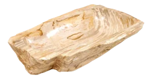 Rectangular Polished Petrified Wood Sink with Beige, Cream and Brown Wood Grain