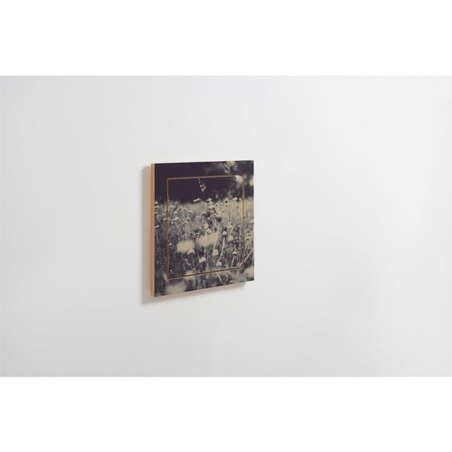 Contemporary 40×40-1 Fläpps Shelf by Ingrid Beddoes for Ambivalenz For Sale - Image 3 of 5