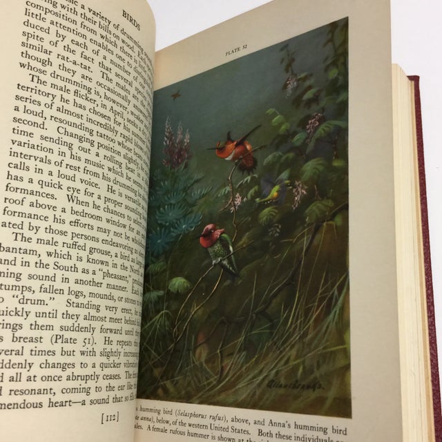 1944 Birds & Beasts Smithsonian Book For Sale - Image 4 of 12