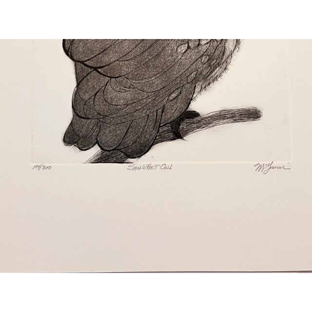 Mid-Century Modern "Saw-Whet Owl" Etching by Christine McGinnis, Printed by David Lynch Ca. 1970 For Sale - Image 3 of 6