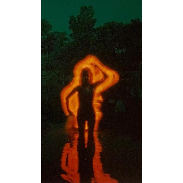 Introduction: by Kaz Maslanka While all of these works use the photographic process the majority of them were shot using a...