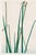A refined example of traditional Japanese woodblock art, this vintage art print reproduction features Dragonfly on Bulrush...