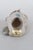 Blue Capodimonte Savastano Eurasian Blue Tit Ceramic Figurine Bird on a Branch 4496b For Sale - Image 8 of 17