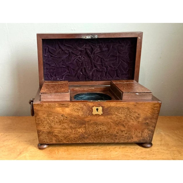 Vintage Burl and Brass Decorative Box For Sale - Image 11 of 13