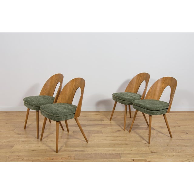 Mid-Century Modern Ash Veneer Dining Chairs by Antonín Šuman for Mier Topoľčany, Czechoslovakia, 1960s, Set of 4 For Sale - Image 4 of 18