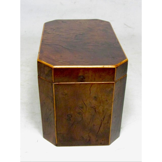 English 18th Century English Burr Yew Wood Tea Caddy For Sale - Image 3 of 17