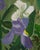 "Still Life With Flowers" Painting by Bryan Wilson 3 Ft. 1960 For Sale - Image 18 of 18