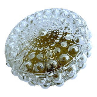 Vintage Bubble Glass Flush Mount from Erco, 1970s For Sale