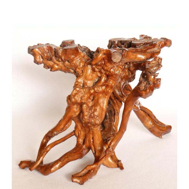 Late 19th Century Wabi Sabi Japanese Lacquered Root Stand For Sale - Image 4 of 6