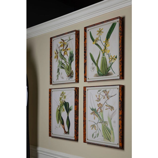 Plastic Spring Orchid I Giclee in Tortoise Frame For Sale - Image 7 of 8
