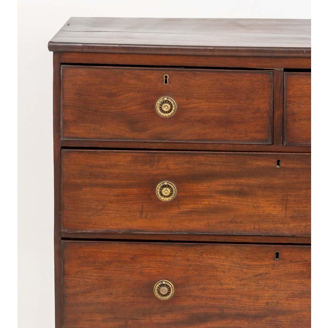 Traditional Regency Mahogany Chest of Drawers For Sale - Image 3 of 7