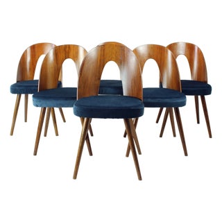 Tatra Chairs in Walnut and Velvet by Šuman, 1960s, Set of 6 For Sale
