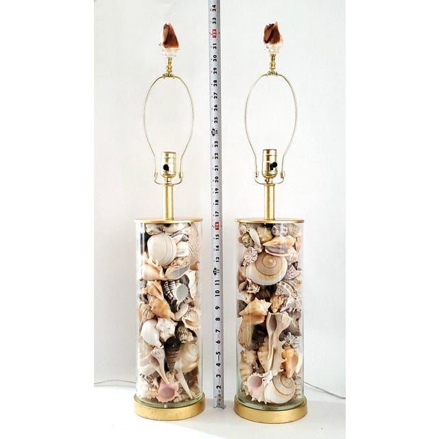 Gold Lamp Pair Seashells Shells Restored Extra Large Size For Sale - Image 8 of 10