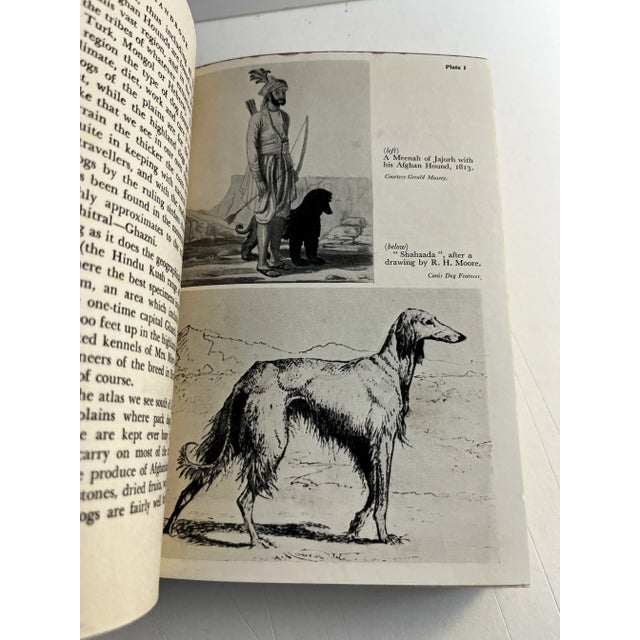 1951 the Afghan Handbook Book For Sale - Image 9 of 10