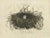 Paper Sepp & Nozeman, Nest of the Western Marsh-Harrier, 1770, Paper For Sale - Image 7 of 7