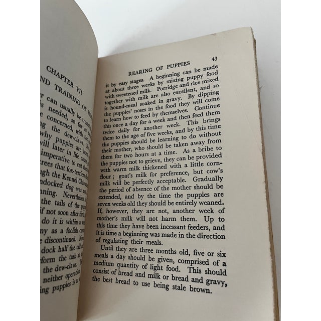 1930s 1933 Our Friend the Fox Terrier Book For Sale - Image 5 of 5