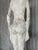 Fiberglass Sculpture of a Nude Woman in the style of Giacometti, France, 1970s For Sale - Image 6 of 12