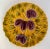 Vintage French Parry & Vieille Majolica Set of Two Decorative Fruit Plates in the Style of De Serreguemines. Each is...