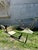Vintage 1930s Sculptural Glass Console and Coffee Table Set For Sale - Image 11 of 13