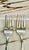 Silver Fish & Dinner Forks by Rogers Silver, S/16 For Sale - Image 8 of 8