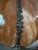 Mid-Century Amber Slag Glass Scalloped Pendant Lamp Shade For Sale - Image 4 of 10
