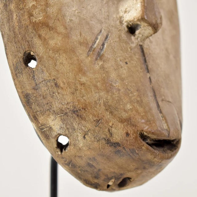 Wood Early 20th Century Lega Bwami Society Mask For Sale - Image 7 of 7