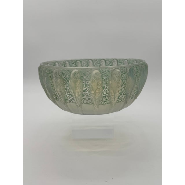 Perruche Bowl by R. Lalique, 1931 For Sale - Image 10 of 10