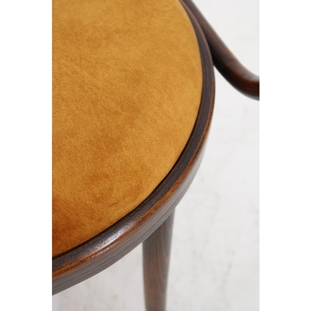 Beech Armchair attributed to Ton for Thonet, Czechoslovakia, 1960s For Sale - Image 6 of 10