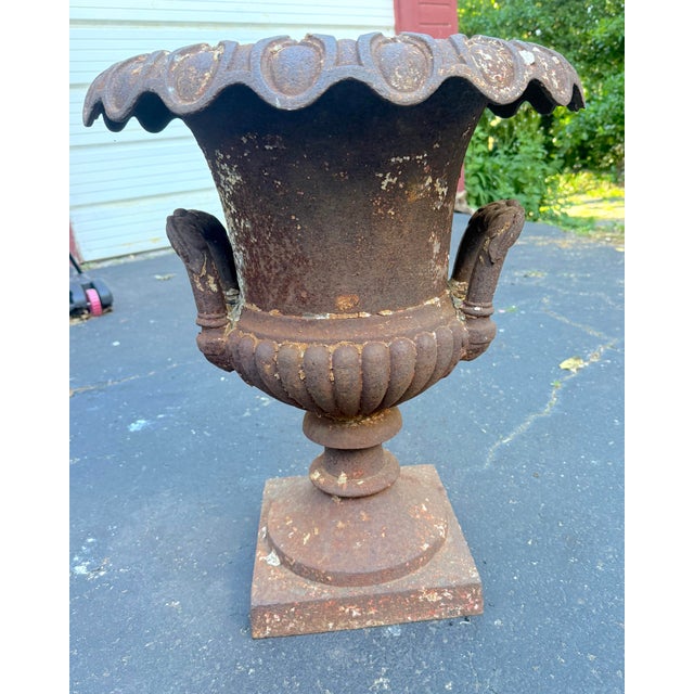 Huge Antique Late Victorian French Heavy Cast Iron Outdoor Planter Urn W/ Handle For Sale In New York - Image 6 of 17