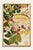 Discover a beautifully restored Asian tropical fruit botanical art print featuring a lush detail from Plate 1 of the...