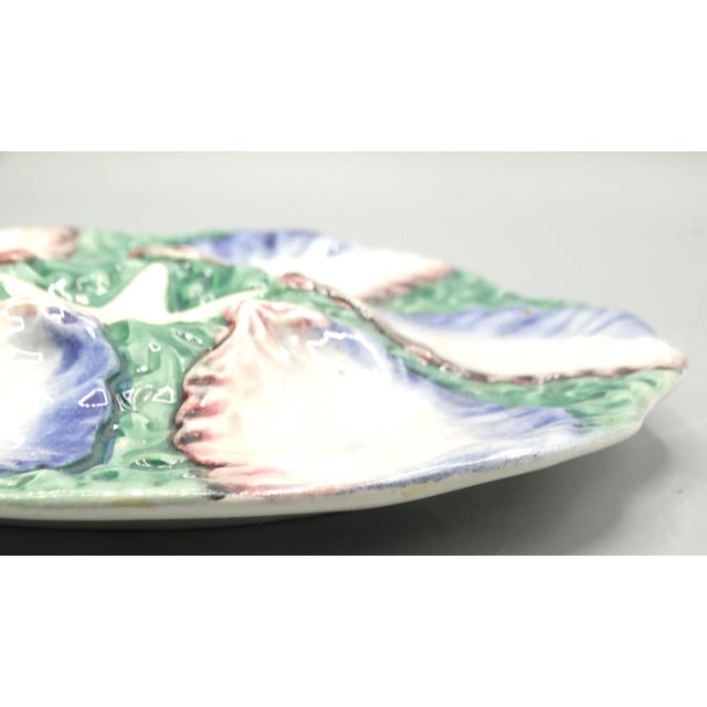 French Starfish Oyster Plate For Sale - Image 6 of 9