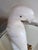 Vintage Alabaster Parrot Bookends For Sale - Image 9 of 15