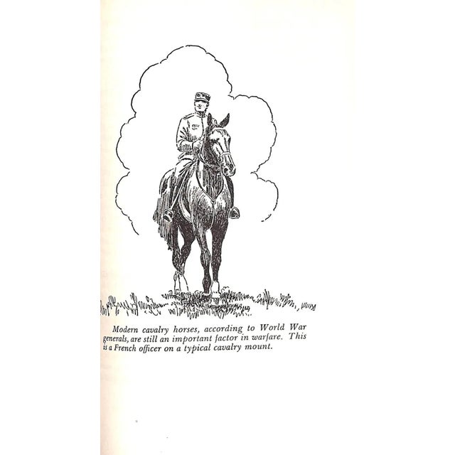 "The History and Romance of the Horse" 1941 Vernon, Arthur For Sale In New York - Image 6 of 15