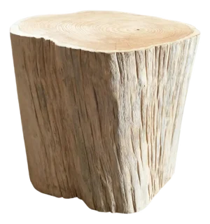Tree Trunk Side Table Solid Mango Wood Bleached Finish Modern Organic